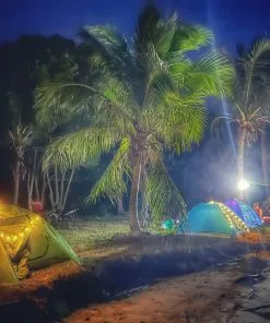 tour-cam-tra-dao-hoang