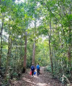 Alternative view of Tour trekking Suối Tiên Phú Quốc