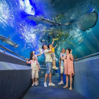 thuỷ cung vinpearl