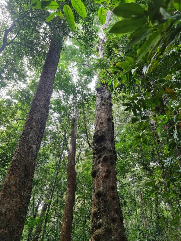 trekking, camping phú quốc