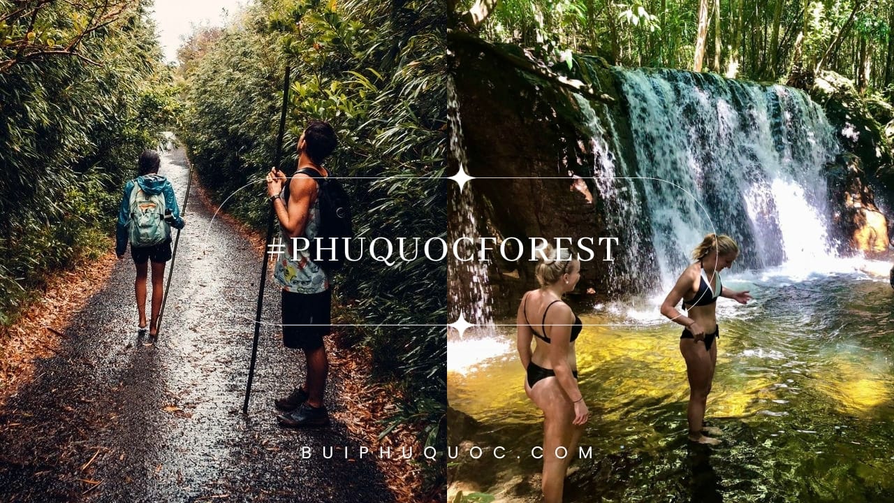 vuon-quoc-gia-phu-quoc5