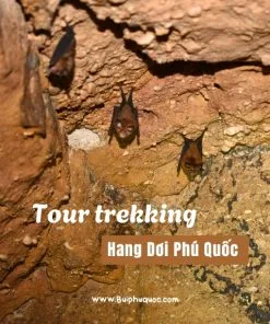Tour trekking khám phá hang dơi phú quốc