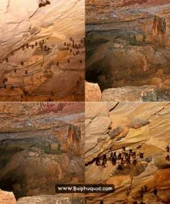 Tour trekking hang dơi phú quốc