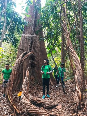 cung trekking đẹp ở Việt Nam