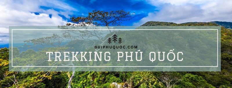 các cung trekking rừng phú quốc đẹp nhất hiện nay