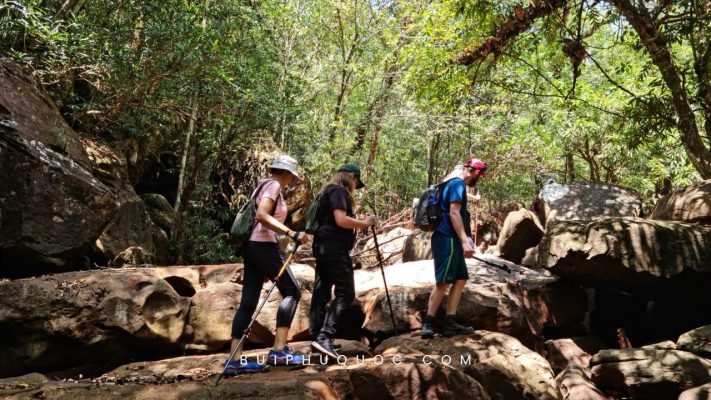 he-sinh-thai-rung-phu-quoc