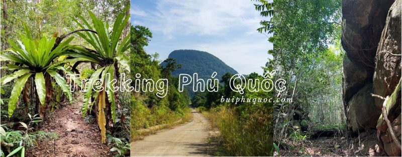 khám phá vẻ đẹp tự nhiên của đảo ngọc