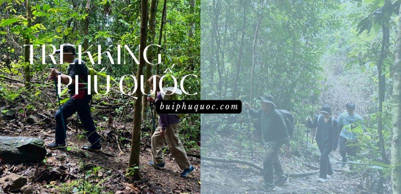 hướng dẫn đi trekking phú quốc an toàn