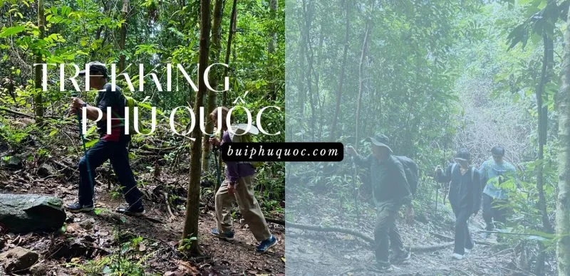 hướng dẫn đi trekking phú quốc an toàn