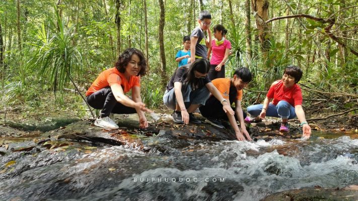 Những điều bạn cần biết trước khi đi vào rừng ở Phú Quốc