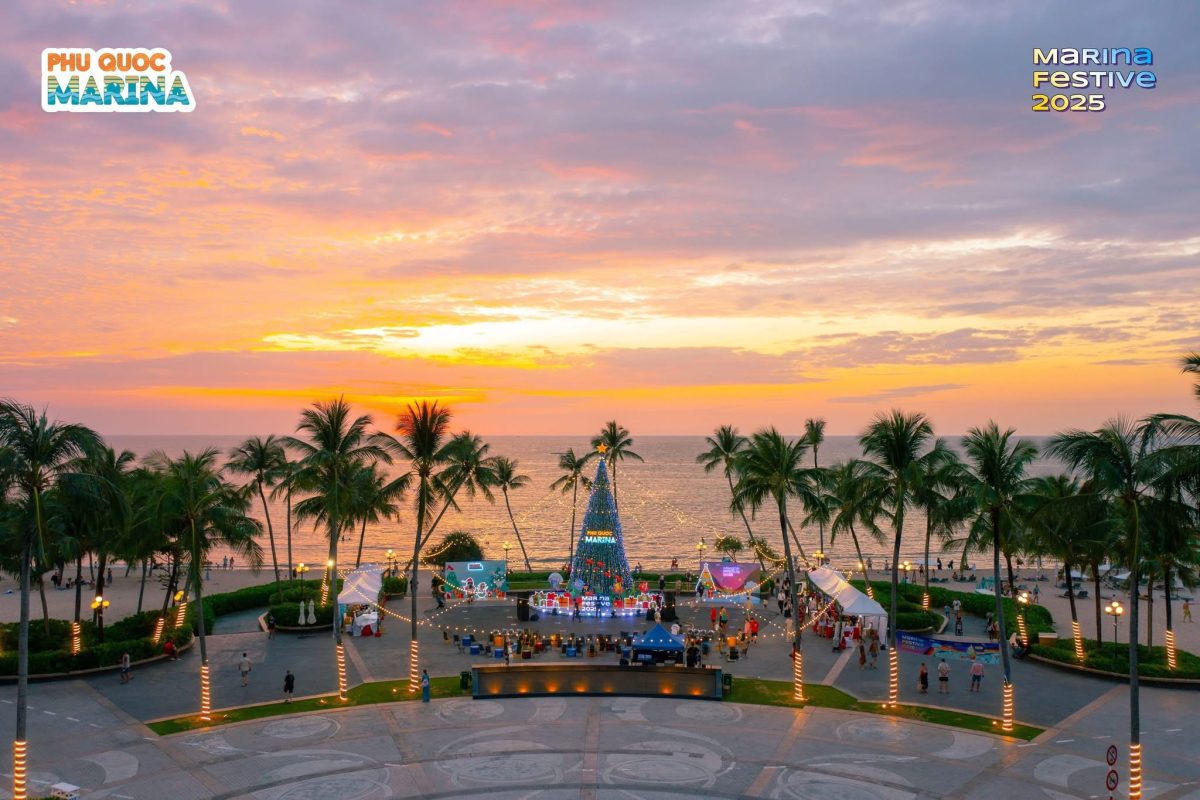 khu marina, bãi trường